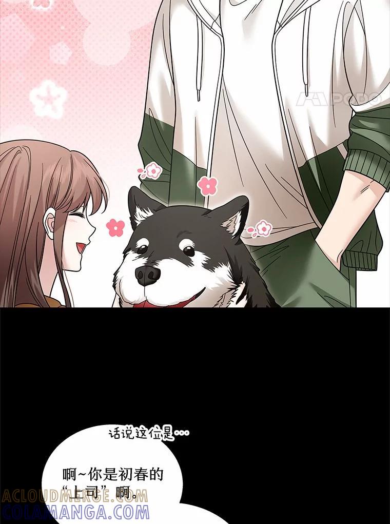 《上司的求婚》35.重逢 第49页