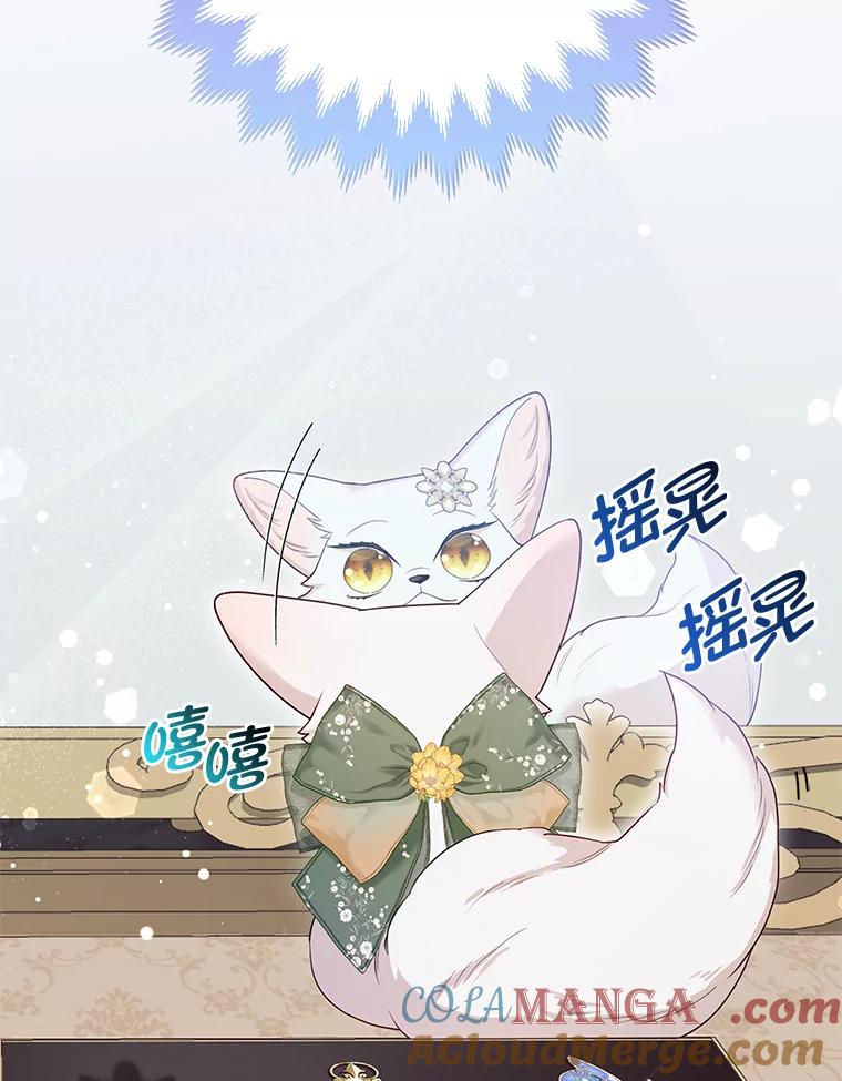 《大公家的狐狸皇女》13.宴会前的准备 第69页