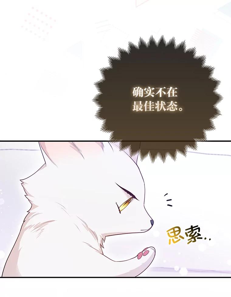 《大公家的狐狸皇女》13.宴会前的准备 第90页