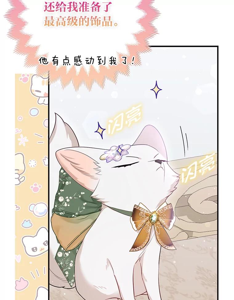 《大公家的狐狸皇女》13.宴会前的准备 第67页