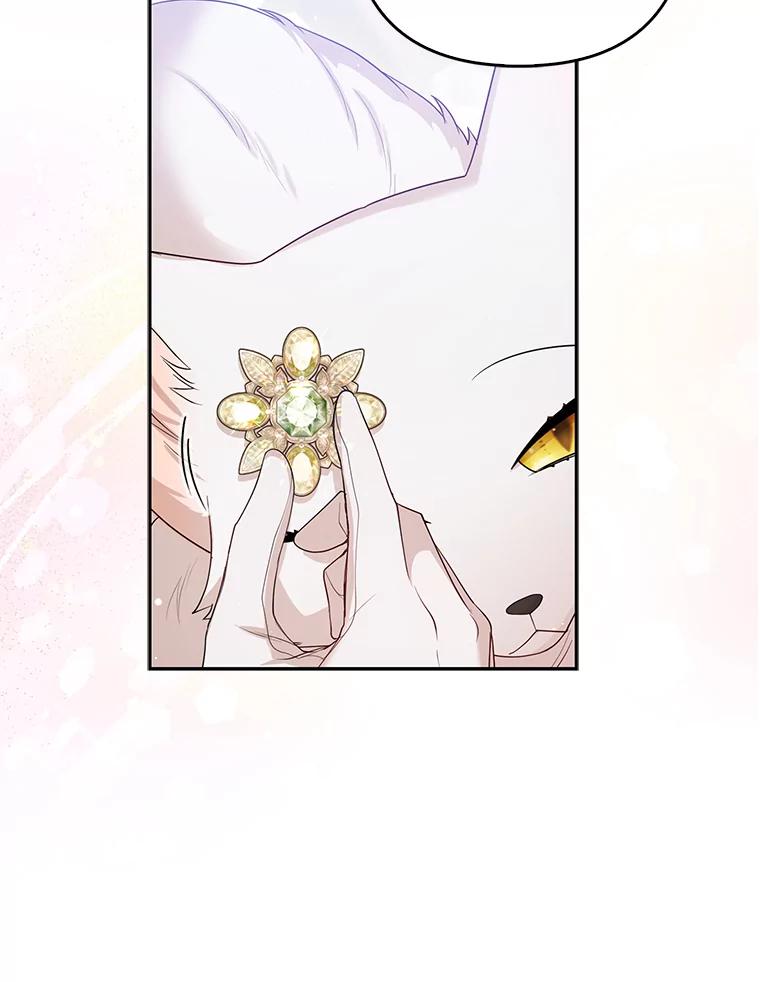 《大公家的狐狸皇女》13.宴会前的准备 第59页