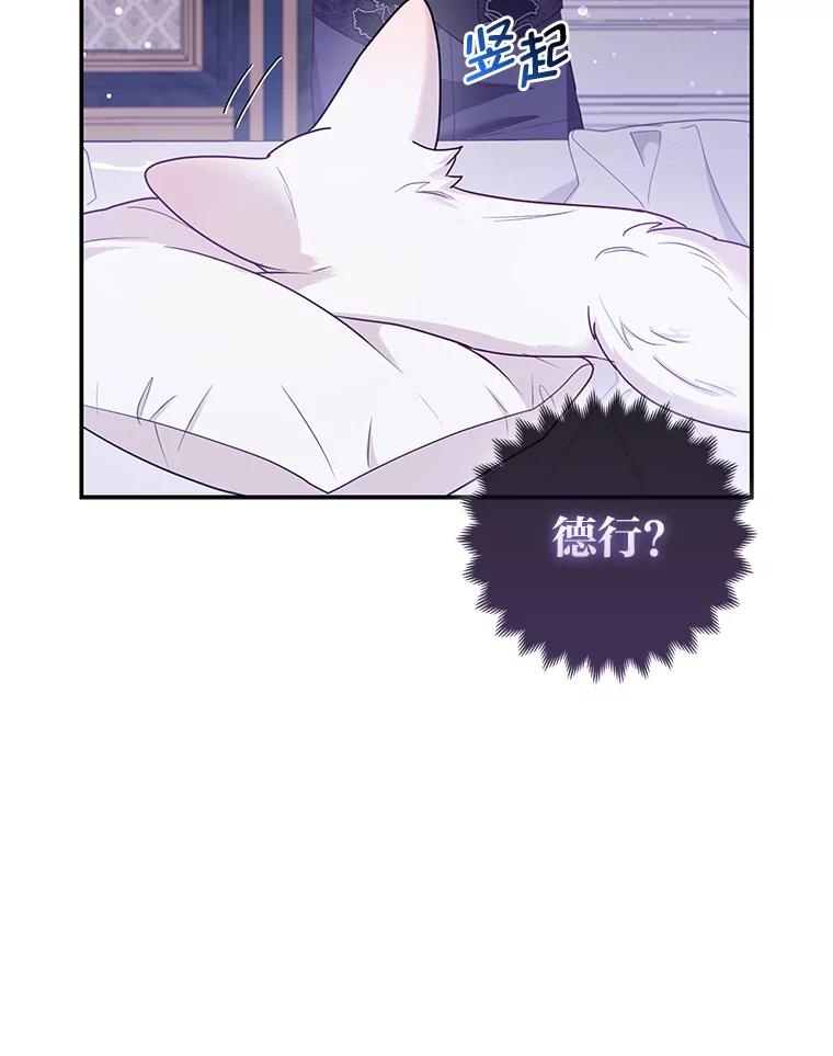 《大公家的狐狸皇女》13.宴会前的准备 第87页
