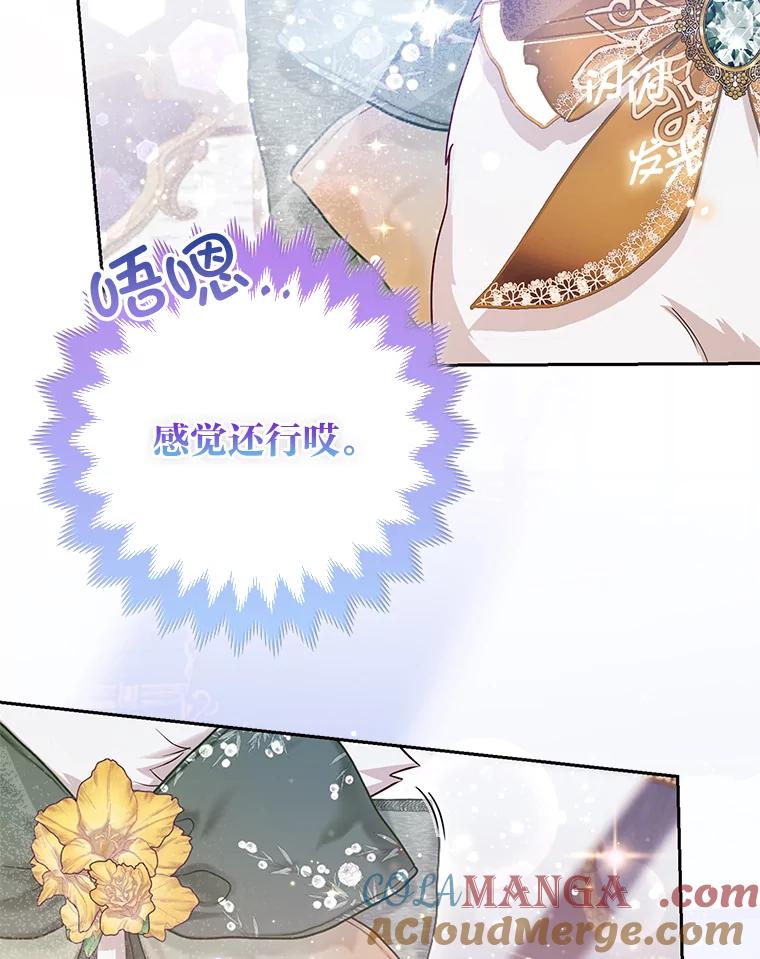 《大公家的狐狸皇女》13.宴会前的准备 第41页
