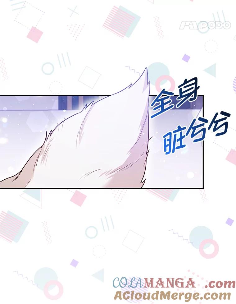 《大公家的狐狸皇女》13.宴会前的准备 第89页