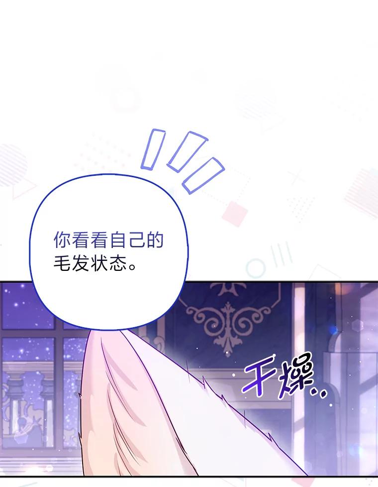 《大公家的狐狸皇女》13.宴会前的准备 第88页