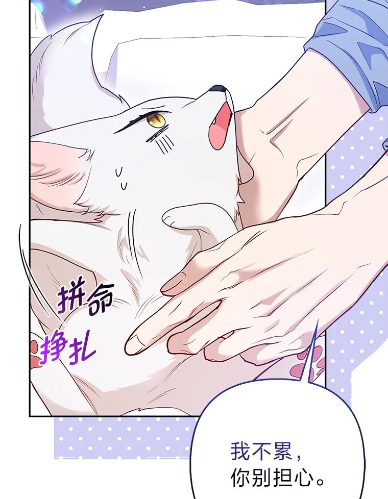 《大公家的狐狸皇女》13.宴会前的准备 第96页