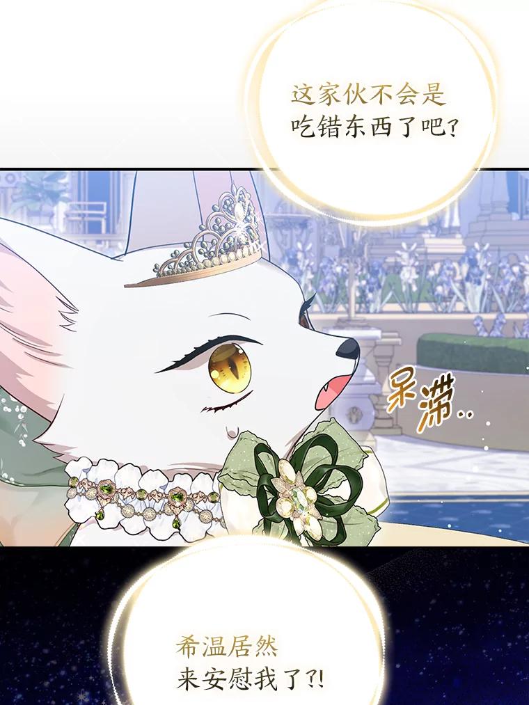 《大公家的狐狸皇女》15.一反常态 第68页