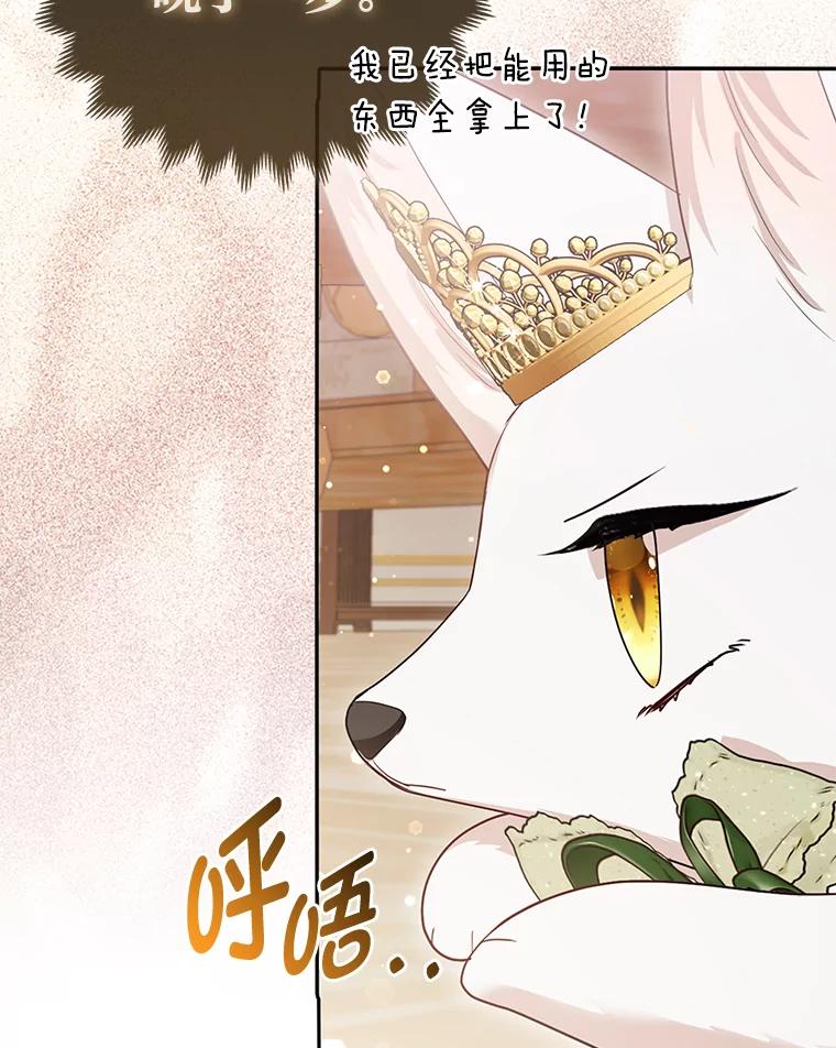 《大公家的狐狸皇女》15.一反常态 第104页