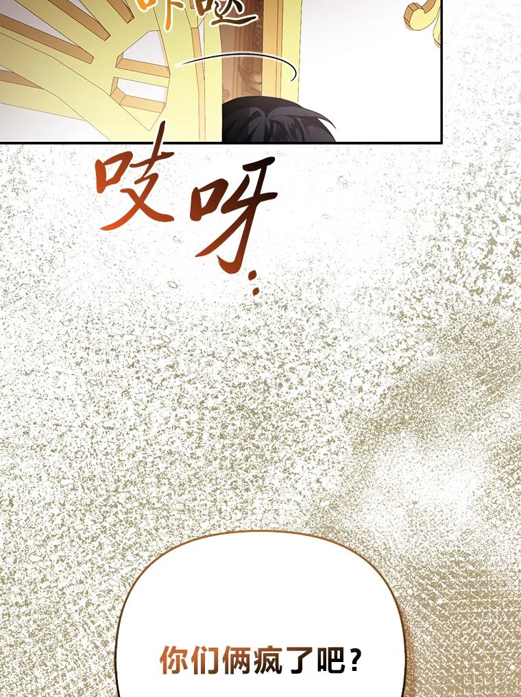 《大公家的狐狸皇女》16.阿祖尔迪夫妇 第12页