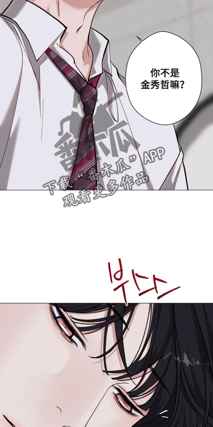《海岛人生》第99章：【第二季】已经一塌糊涂 第18页