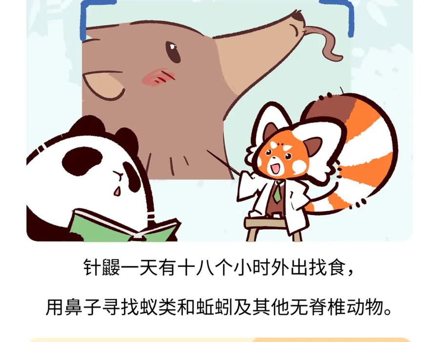 《胖达x胖达》第257话 第20页