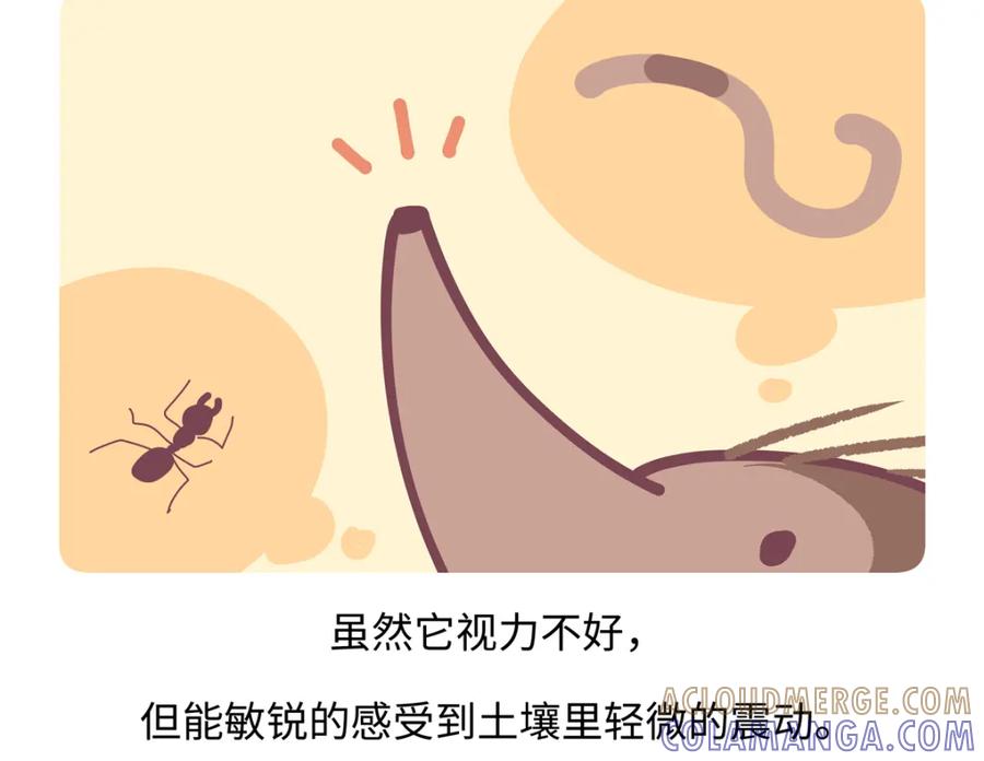 《胖达x胖达》第257话 第21页
