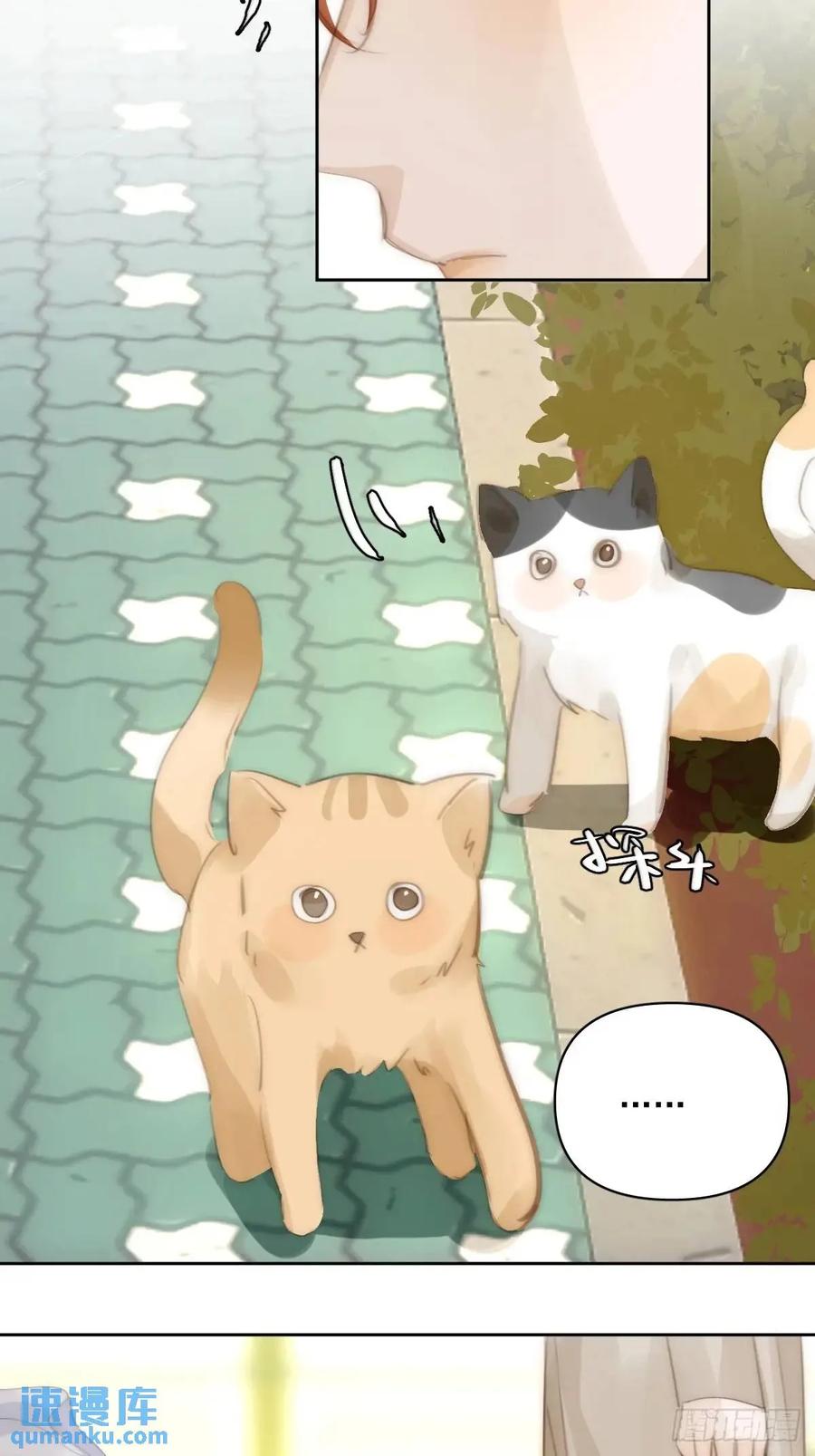 《繁星告诉我》番外——寻常（1） 第51页