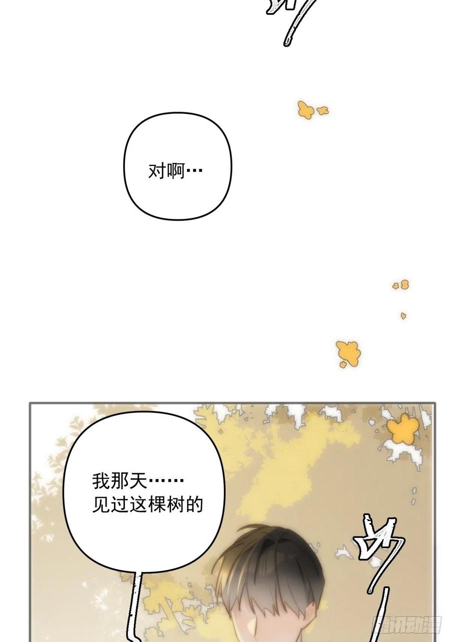 《繁星告诉我》第23话 杏林村 第8页
