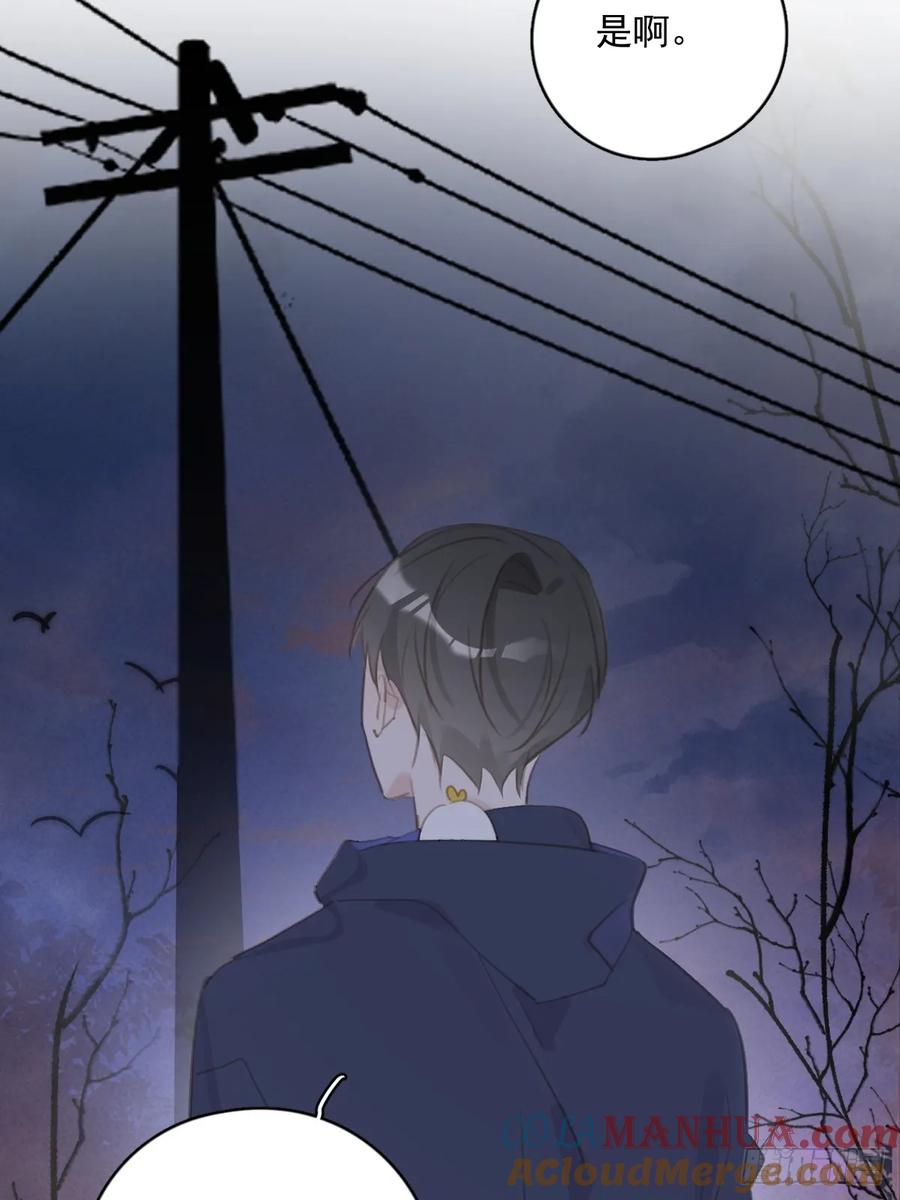 《繁星告诉我》第72话 最后一步 第13页