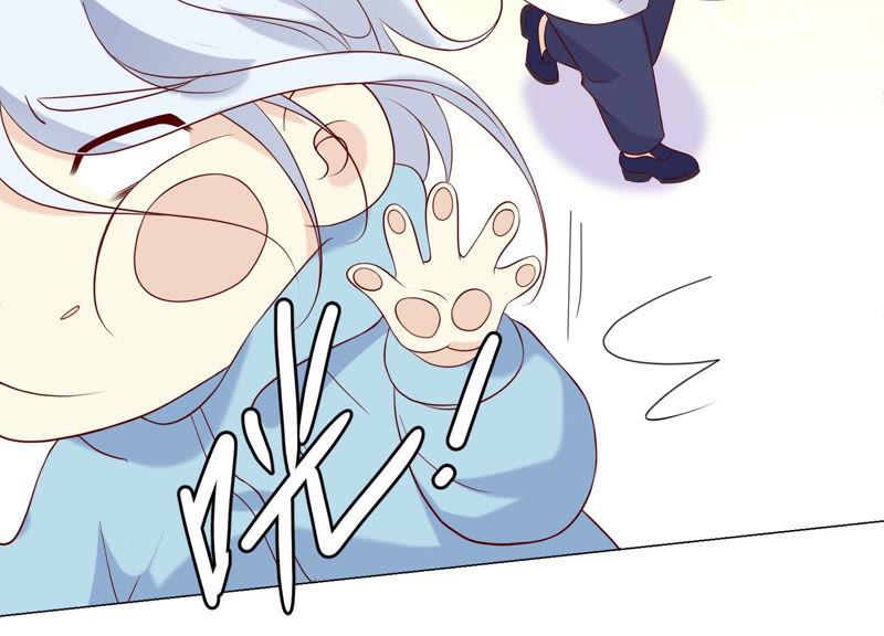 《繁星坠落的食光》127话 必须要尽快动手了 第11页