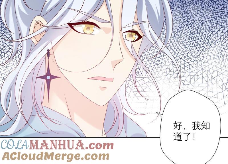 《繁星坠落的食光》第147话 万事俱备 第9页