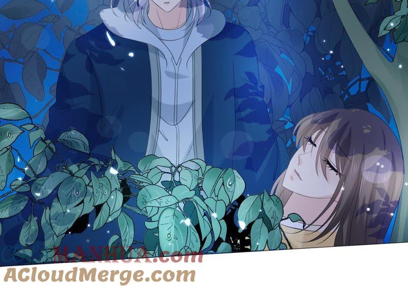 《繁星坠落的食光》第65话 深夜相见 第40页