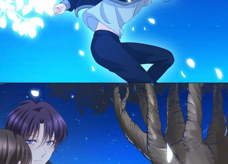 《繁星坠落的食光》第67话 不许骗我 第5页