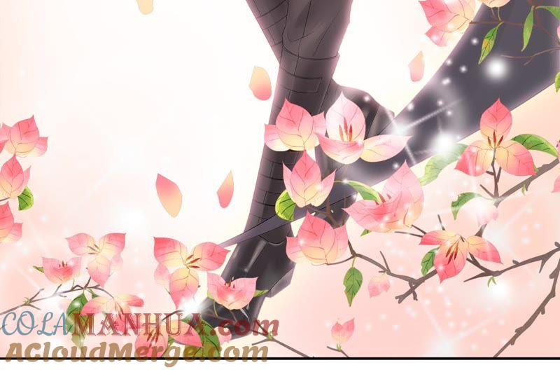 《繁星坠落的食光》第70话 我做的一切都是为了你 第22页