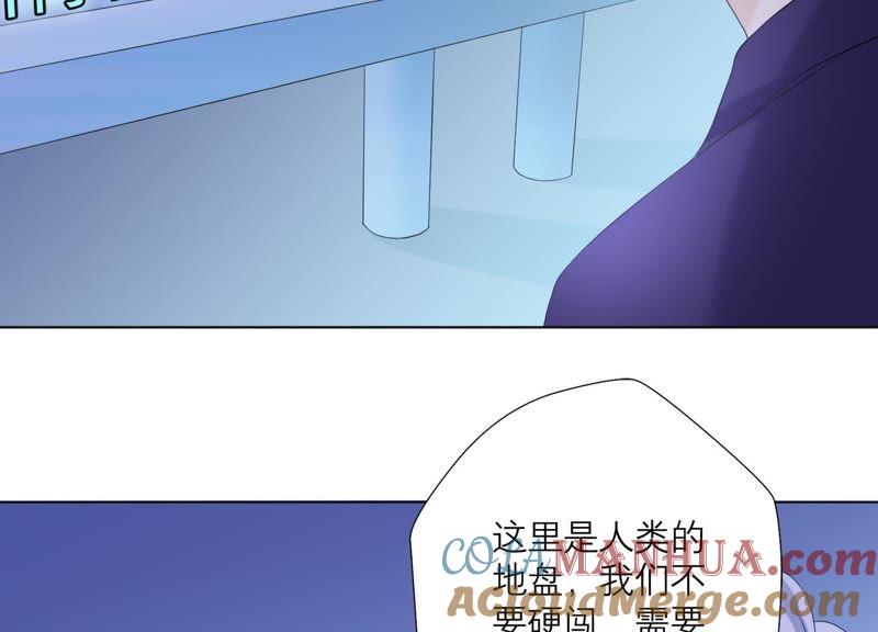 《繁星坠落的食光》第79话 珞珞，等我！ 第40页