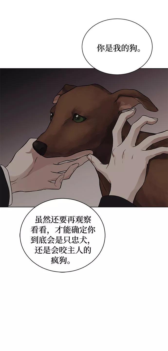 《双重间谍》第15话 多彻的狗，威廉多勒夫的狗（3） 第47页