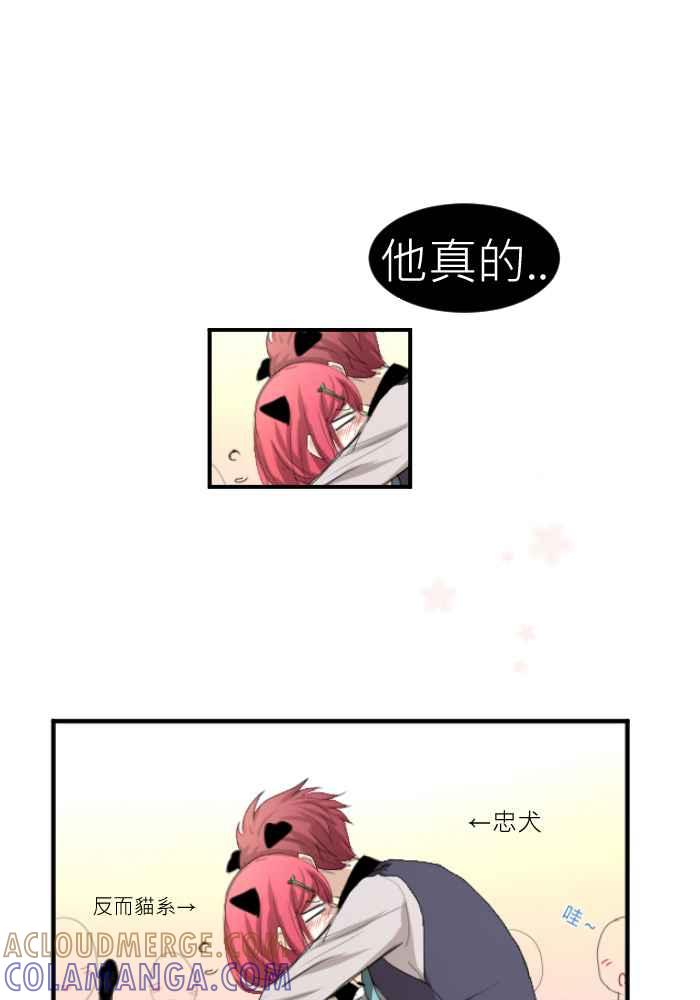 《倾恋的蜜封罐》072--❖猫系与犬系❖ 第31页