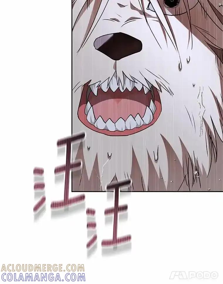 《你好？兽医先生！》58.小古历险记（2） 第41页
