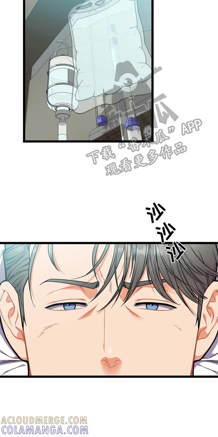 《浴火重生》第4章： 救援 第17页