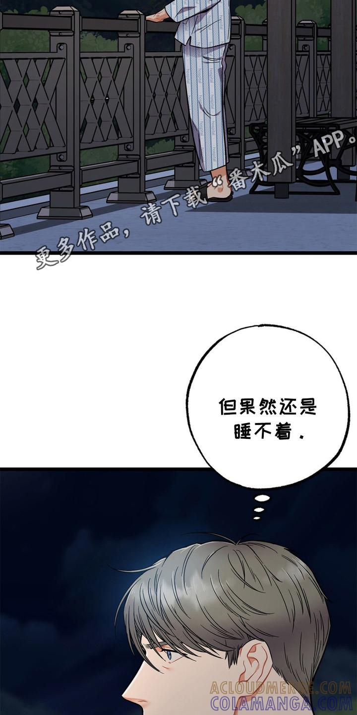 《浴火重生》第6章：睡不着 第11页