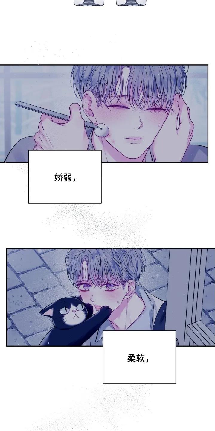《不完整的空白》第22章：还有一件事 第2页