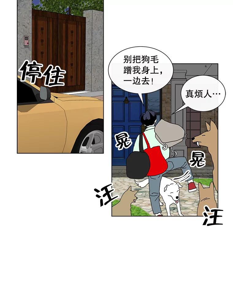 《青春之家》22.她的真实身份是？ 第26页