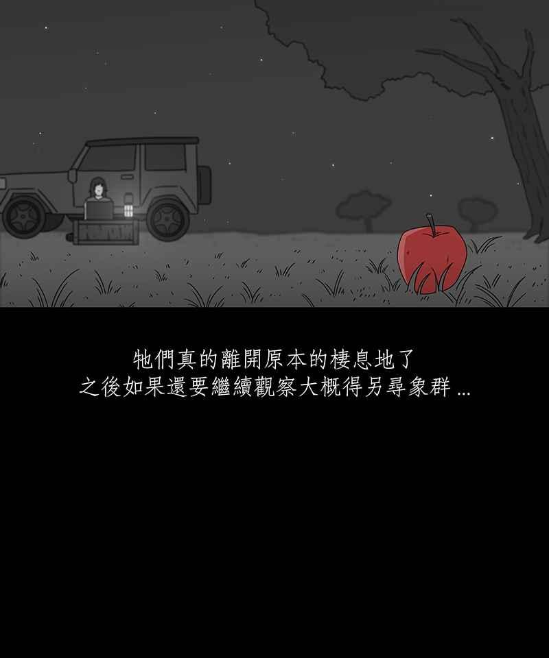 黑盒子 [第200话] 摄象者(3) 第38页