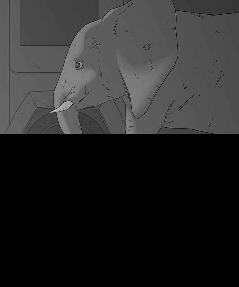 黑盒子 [第200话] 摄象者(3) 第18页
