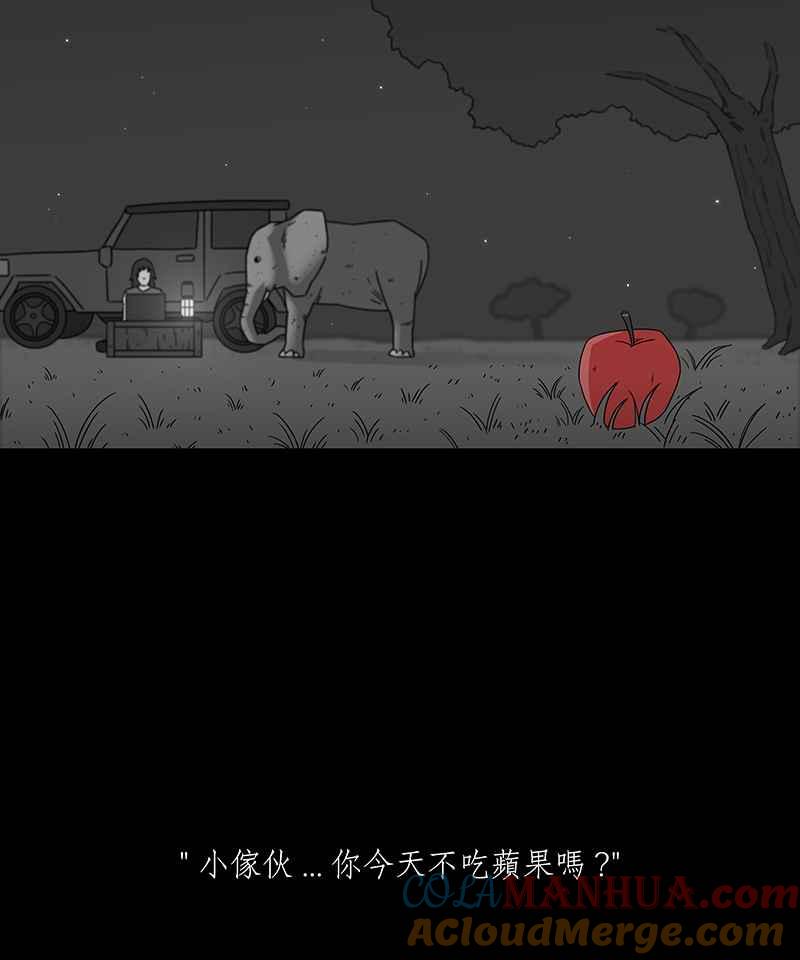 黑盒子 [第200话] 摄象者(3) 第16页