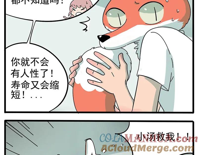 废柴狐阿桔 - 第12话 - 第17张图