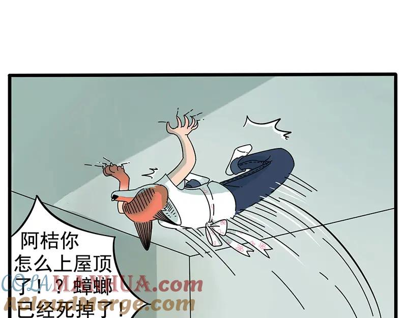 废柴狐阿桔 - 第12话 - 第11张图