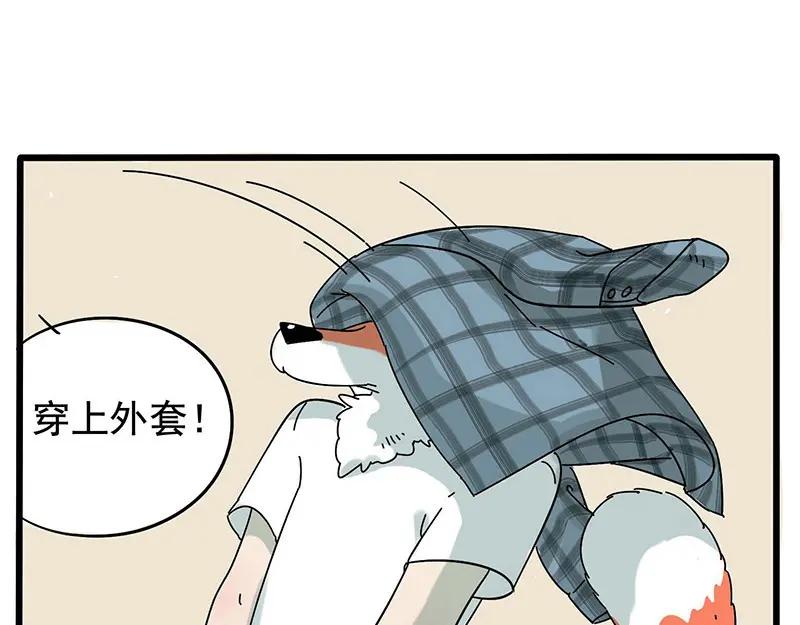 废柴狐阿桔 - 第12话 - 第20张图