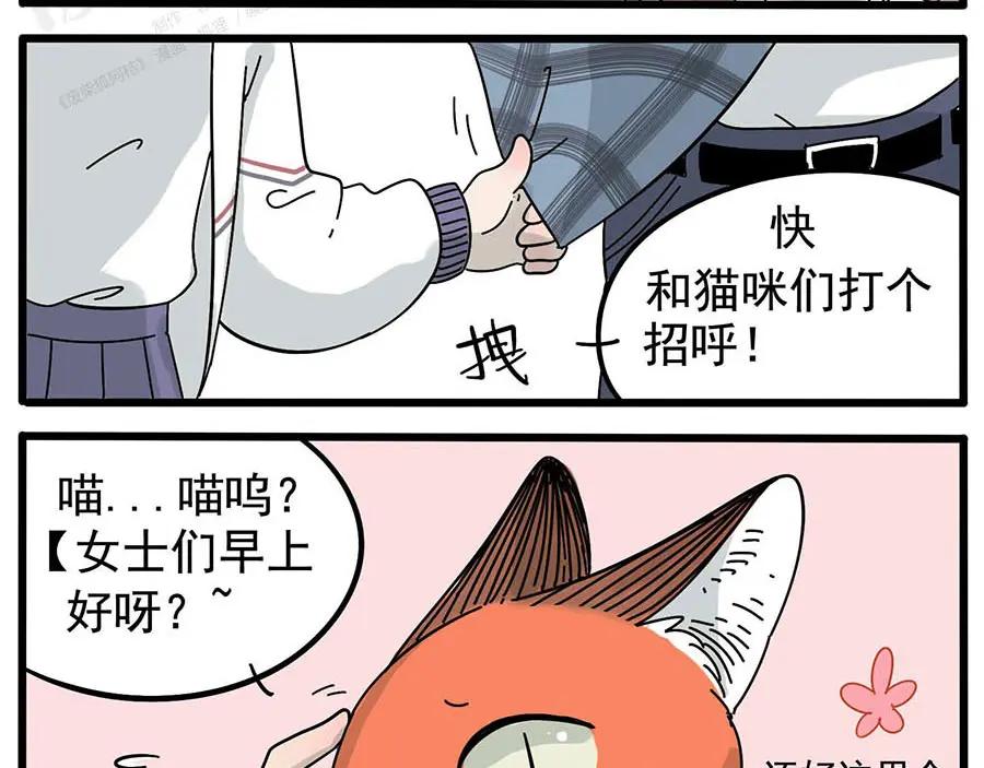 废柴狐阿桔 - 第13话 - 第8张图