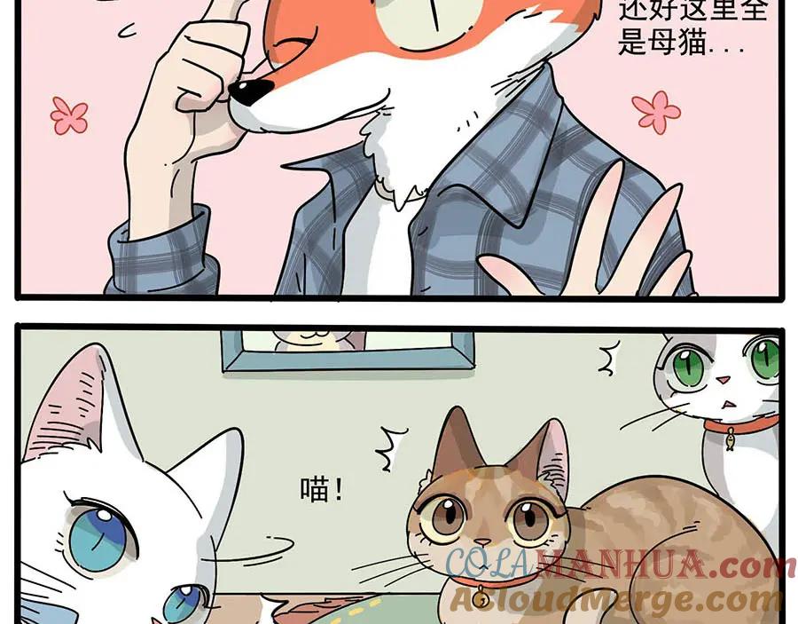 废柴狐阿桔 - 第13话 - 第9张图