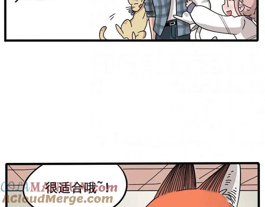 废柴狐阿桔 - 第13话 - 第13张图