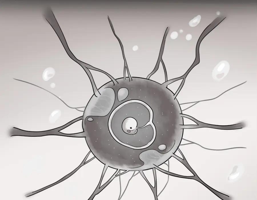 废柴狐阿桔 - 第99话 - 第29张图