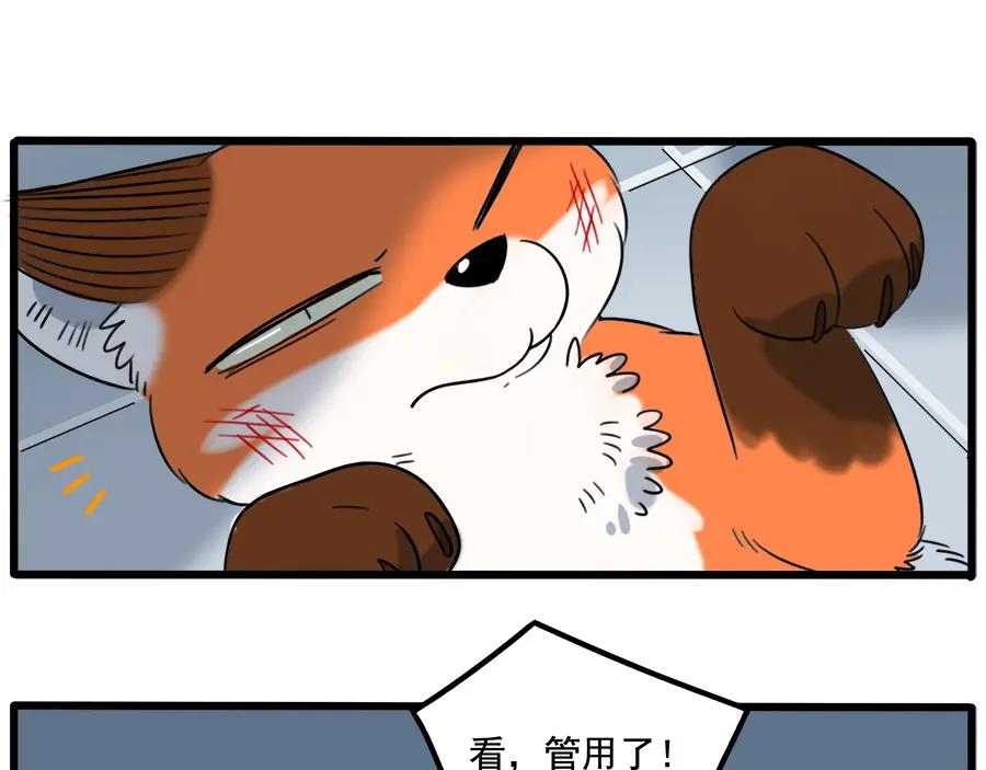 废柴狐阿桔 - 第102话 - 第18张图