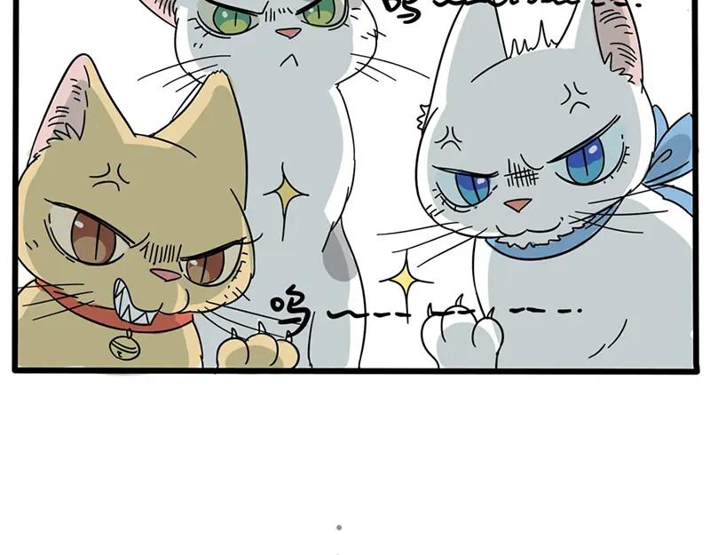 废柴狐阿桔 - 第14话 - 第26张图