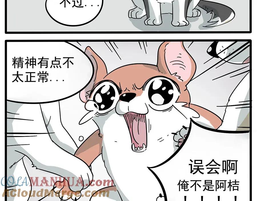 废柴狐阿桔 - 第15话 - 第5张图