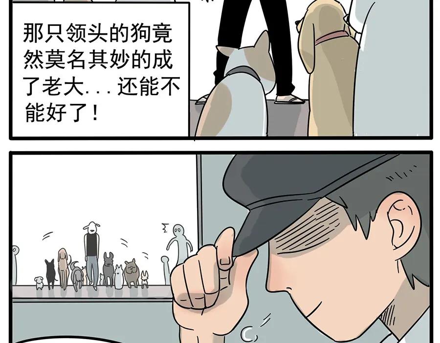 废柴狐阿桔 - 第15话 - 第18张图