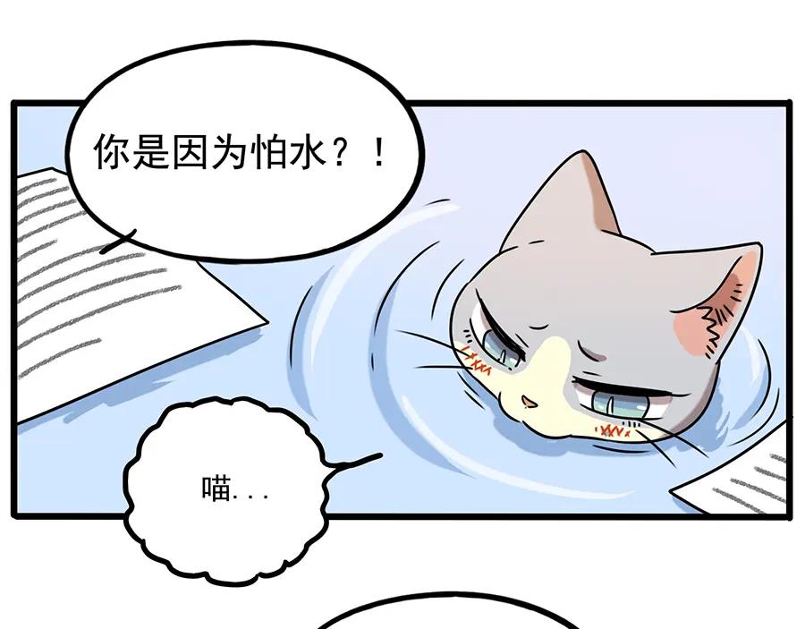 废柴狐阿桔 - 番外4 苏莎的秘密 - 第23张图