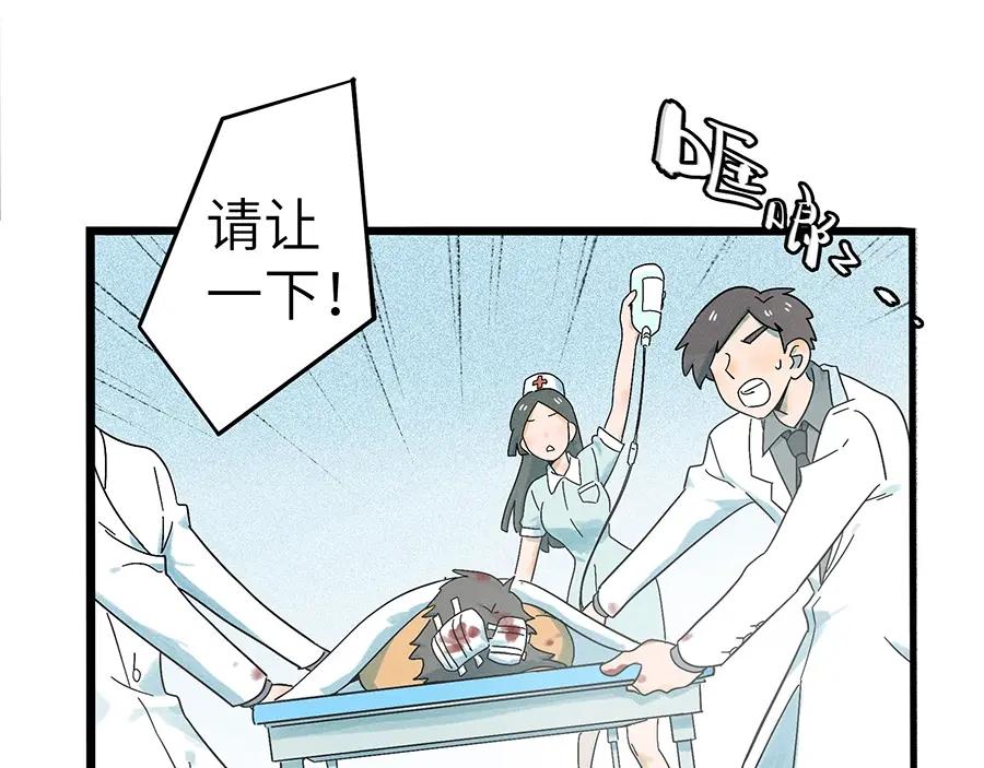 废柴狐阿桔 - 兽人医院2 - 第20张图