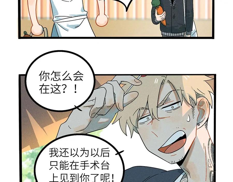 废柴狐阿桔 - 兽人医院3 - 第33张图