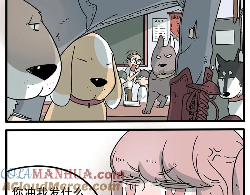 废柴狐阿桔 - 第16话 - 第5张图